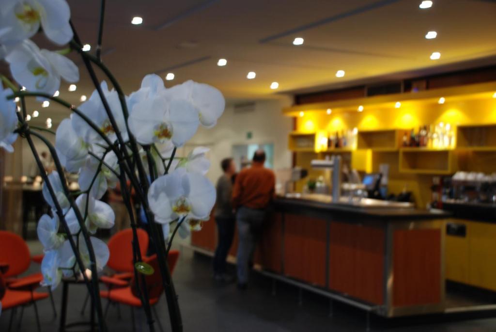 Hotel Am Fang Bad Laasphe Eksteriør bilde